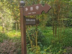 -九曜山