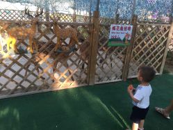 -萌宠亲子动物乐园(槐房万达店)