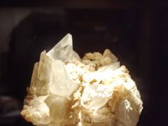 -重庆自然博物馆(新馆)