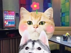 -K+全国连锁KTV(绿地缤纷天地店)