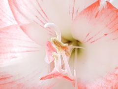 -和平行旅·全女旅宿(永庆坊店)