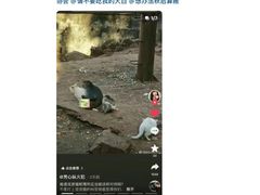 -昆明动物园