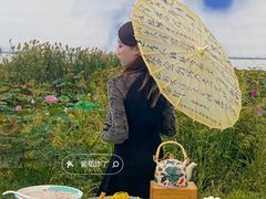 -七的湖·晚芳亭·阳澄湖农家菜·大闸蟹(莲花岛店)