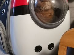 -荣耀金沙动物医院(清江西路店)