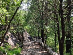 -阳台山自然风景区