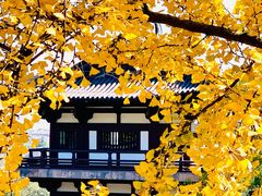 -柯岩风景区