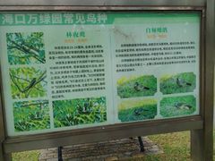 -万绿园