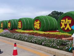 -第35届青岛国际啤酒节