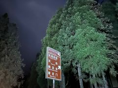 -武陵山森林公园