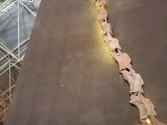 -世界恐龙谷景区