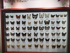 -吉林省自然博物馆