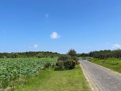 -上海海湾国家森林公园