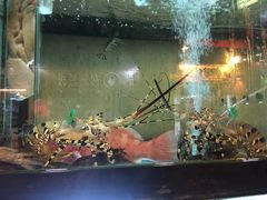 -金海阁海鲜火锅