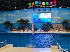 -泉城欧乐堡海洋极地世界