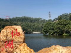 -深圳仙湖植物园