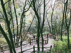 -大岭沟猕猴桃谷风景区