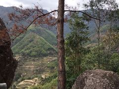 -林坑古村落