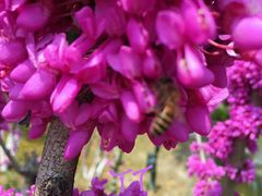 -白塘生态植物园