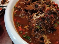 -邵年鸽(杨庄店)