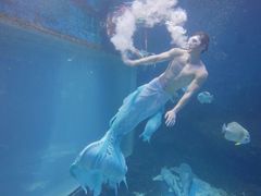 -华夏文旅海洋公园