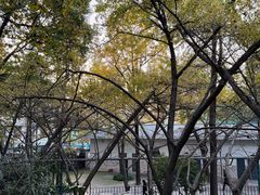-中山公园