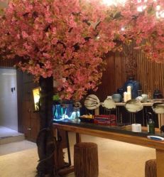 -红人馆造型世爵国际