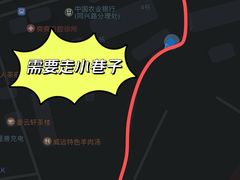 -食神又名厕所兔