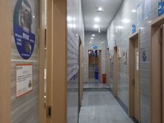 -瑞派名望志远动物医院·猫科·內科·异宠专科(直港大道店)