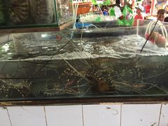-D'Talipapa