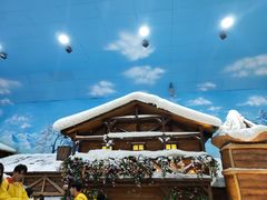 -世界之窗阿尔卑斯冰雪世界
