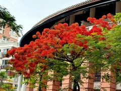 -厦门大学(思明校区)