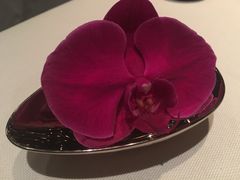 -牛排坊(成都群光君悦酒店)