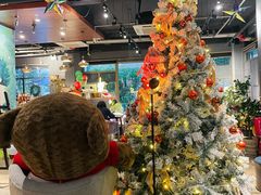 -咖法森林·咖啡  酒吧(天河店)