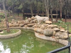 -云南野生动物园