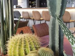 -West10 西拾·西餐厅·创意菜(未来科技城店)