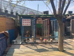 -萌宠亲子动物乐园(槐房万达店)