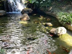 -广州花园酒店