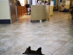-美联众合动物医院·24h转诊中心