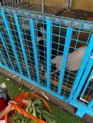 -小蜜蜂农场(凯德七宝购物广场店)