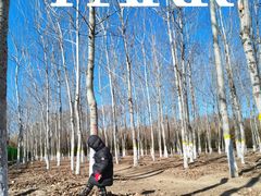 -永定河休闲森林公园