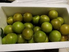 -呼吸森林·生态农庄农家乐私房菜