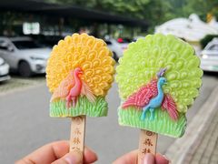 -西双版纳原始森林公园