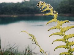 -大雁山风景区