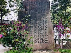 -南汇桃花村