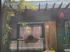 -慢丽江·云南野生菌土鸡锅(付家庄店)
