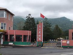 -横道河子东北虎林园