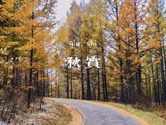 -塞罕坝国家级自然保护区