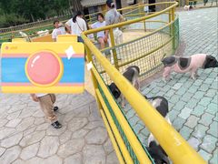 -无锡动物园·太湖欢乐园