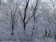 -中旅松花湖滑雪场