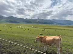 -新疆那拉提国家旅游度假区